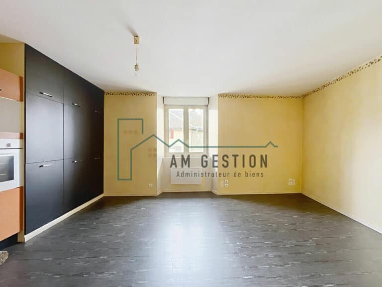 Appartement – AIXE SUR VIENNE