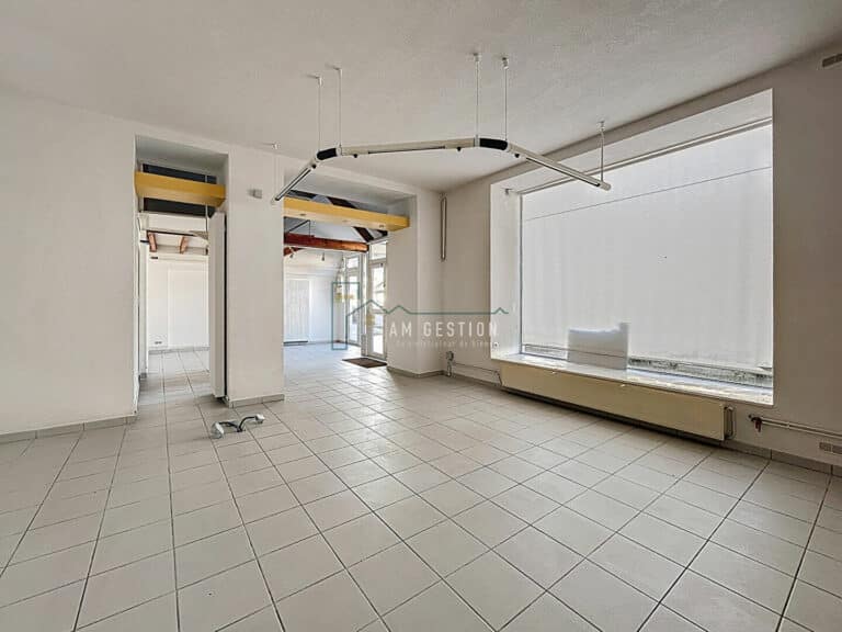 Local professionnel – RAZES