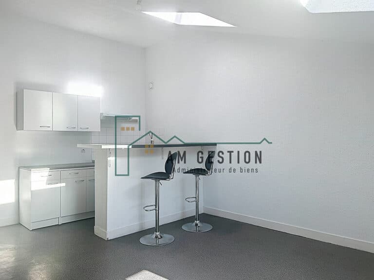 Appartement – AIXE SUR VIENNE