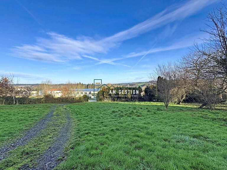 Terrain – AIXE SUR VIENNE