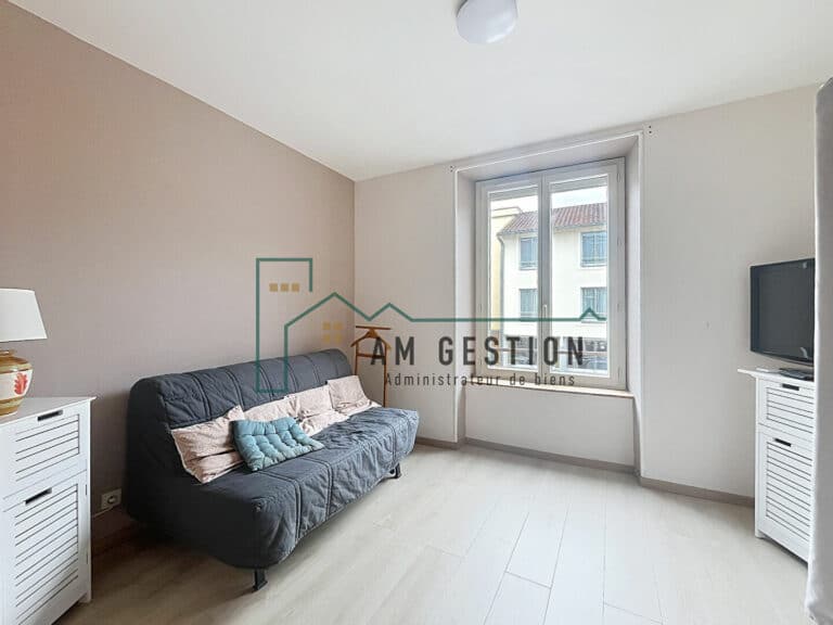 Appartement – AIXE SUR VIENNE