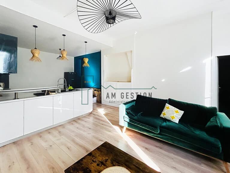 Appartement – AIXE SUR VIENNE