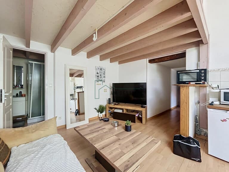 Appartement – AIXE SUR VIENNE